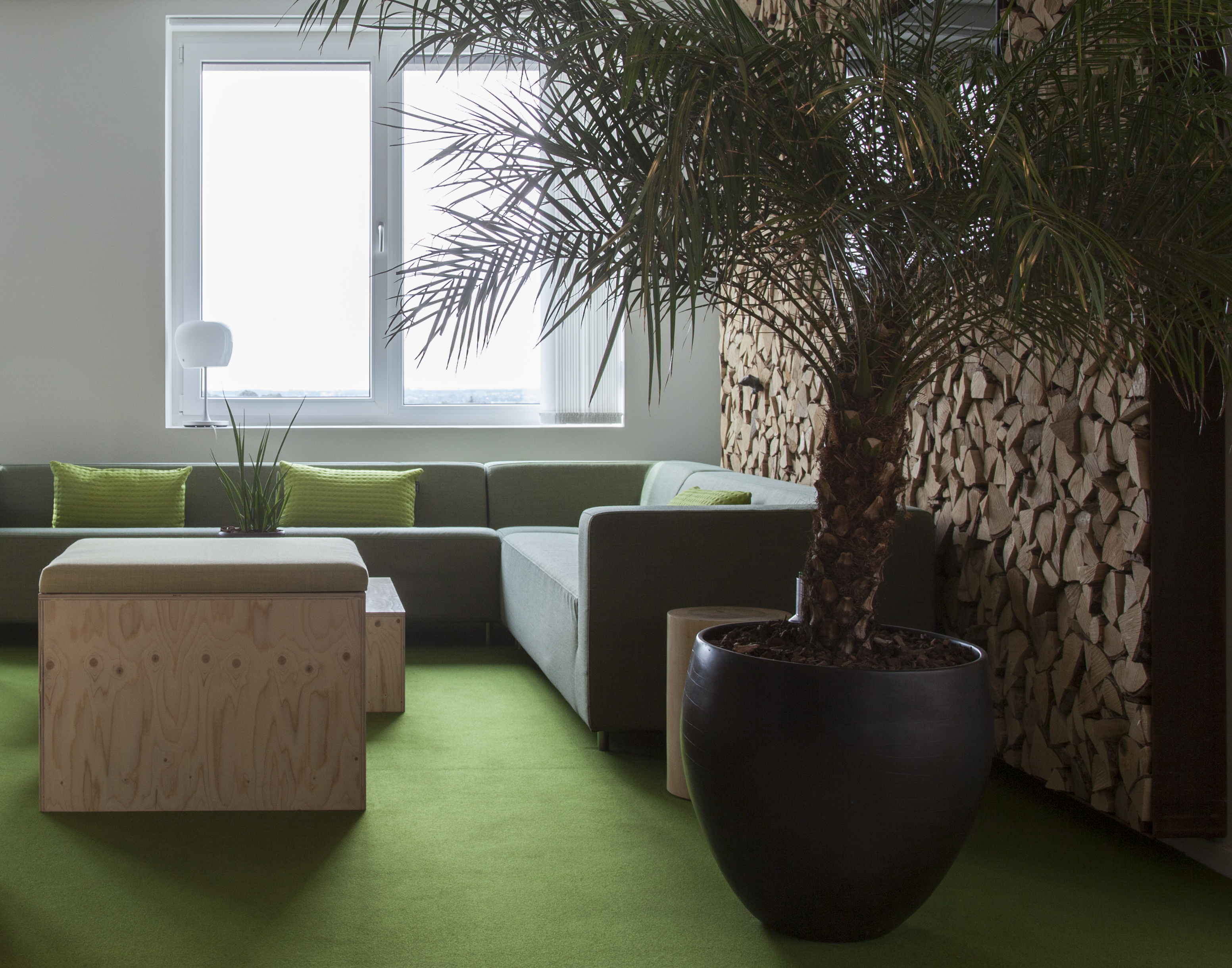 NCC, Fraster filt tæppe