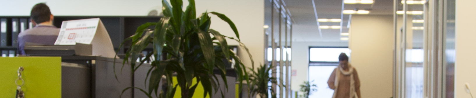 reckitt benckieser , Multicolor sisal løber på kontorgang (1)