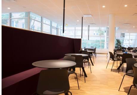 Filt opklæbet på væg i møderum hos TDC (17)