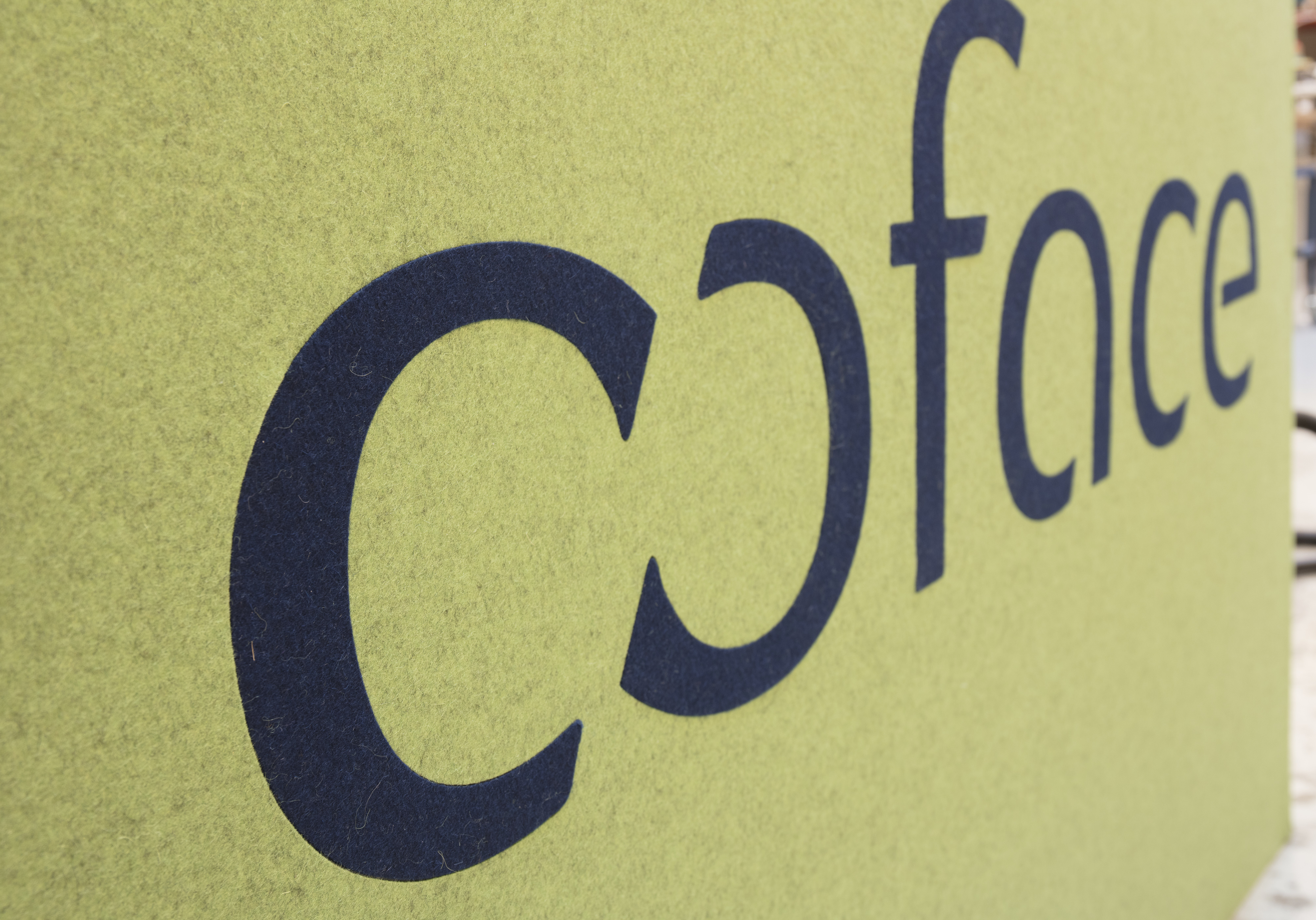 special lavet gulvskærm i filt