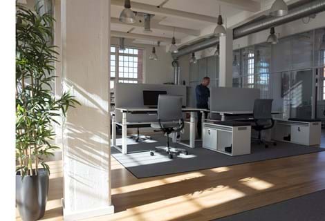 Arctic tæpper i kontor hos Mazda (1)