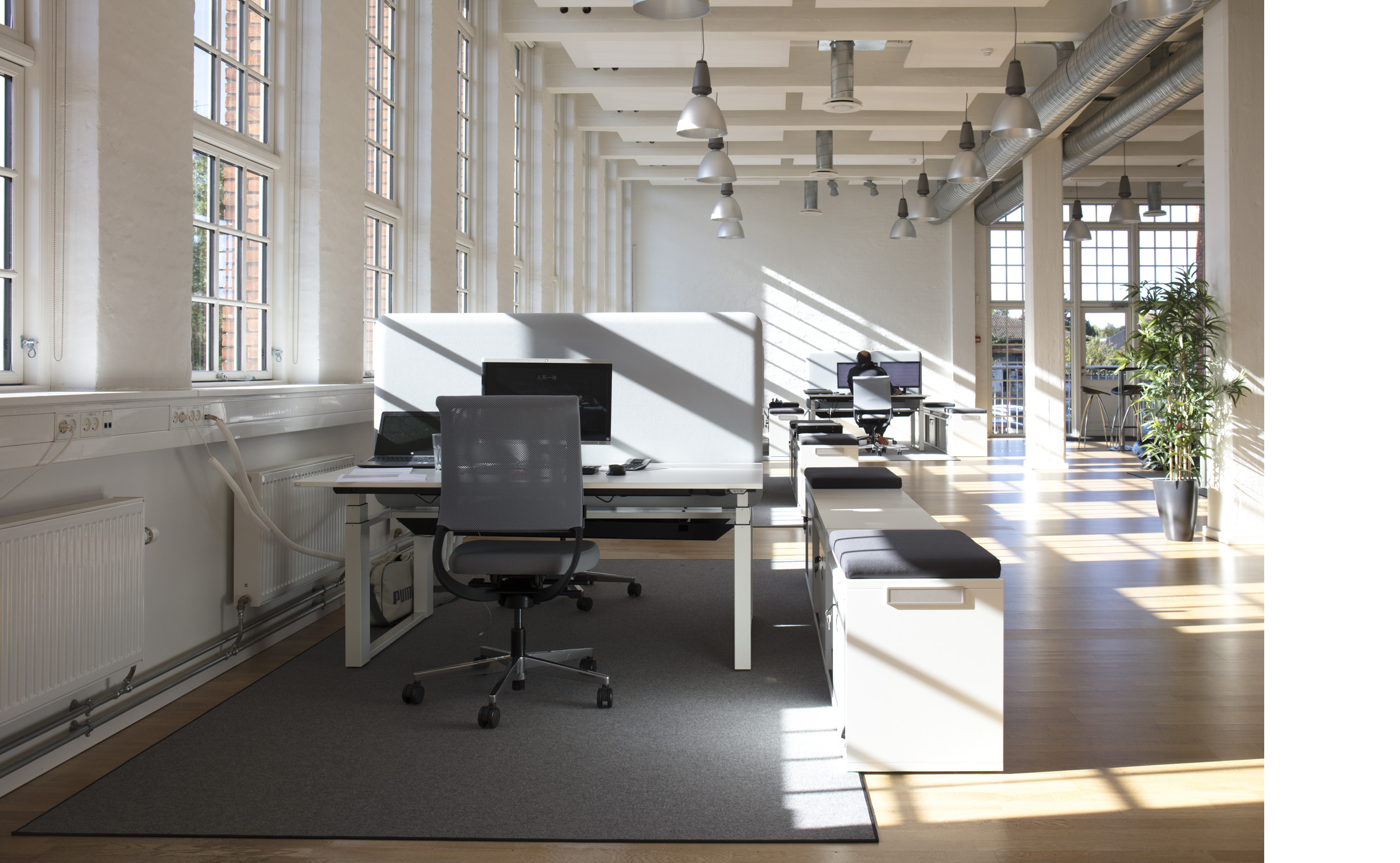 Arctic tæpper i kontor hos Mazda (2)