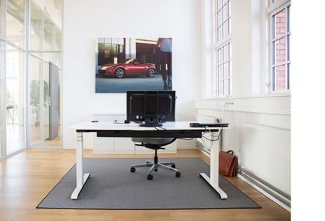 Arctic tæpper i kontor hos Mazda (5)