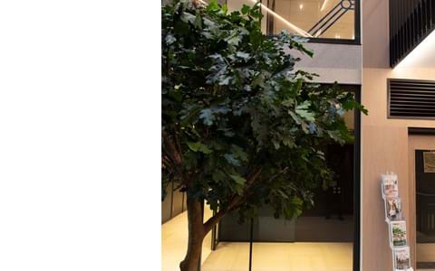 Fraster filt opklæbet på væg i trappegang