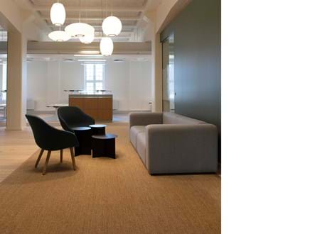 Fraster sisal tæppe under sofagruppe på kontor