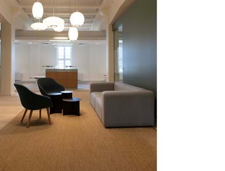 Fraster sisal tæppe under sofagruppe på kontor