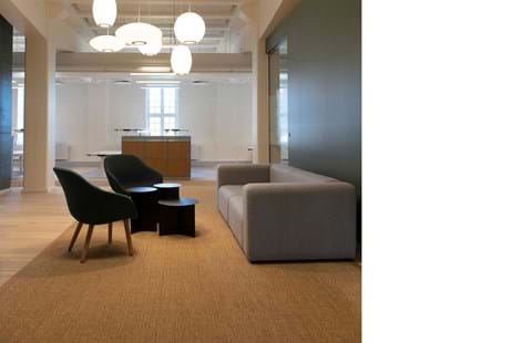 Fraster sisal tæppe under sofagruppe på kontor