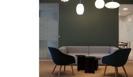 fraster sisal tæppe under sofagruppe på kontor