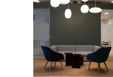 fraster sisal tæppe under sofagruppe på kontor