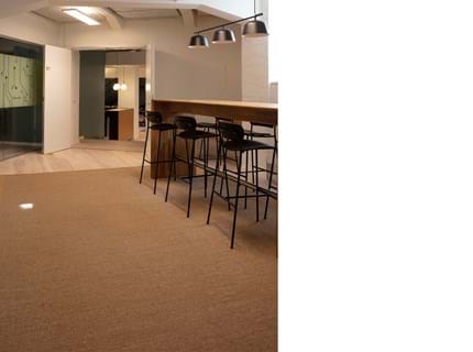 Fraster sisal tæppe under mødebord