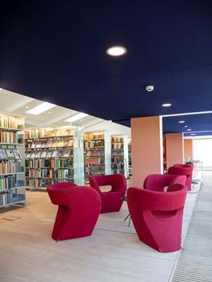 Filt på væg og loft, Hillerød bibliotek (5)