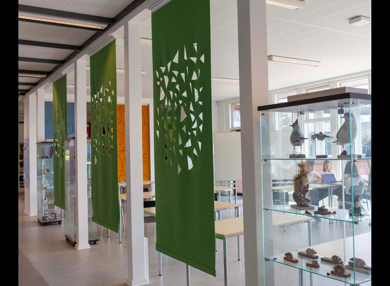 Covers, Middelfart gymnasium, fv 749 spring