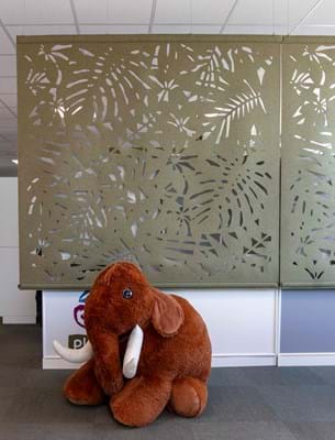 CoverSingle, elefant, Nature Planet