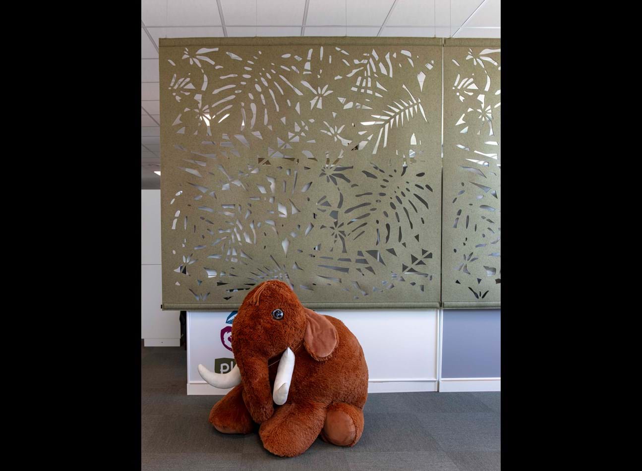 CoverSingle, elefant, Nature Planet