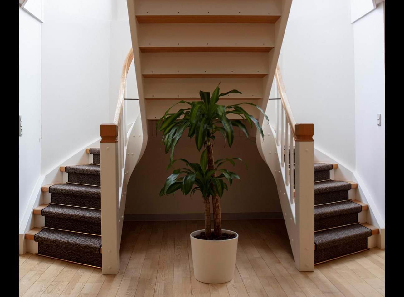 trappeløber, mellau Schaft 1076, Kielberg Advokater 7 .jpg